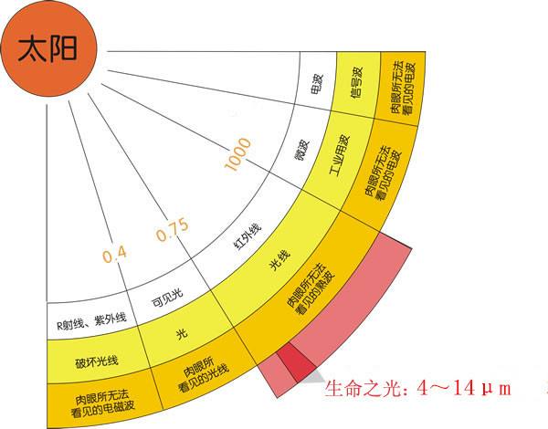 遠紅外.jpg